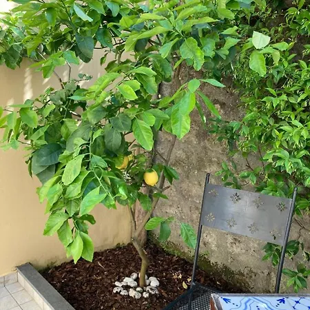 Crawford アパート *